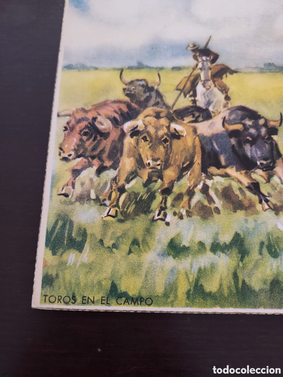 Postales: Postal Toros en el campo - Foto 3