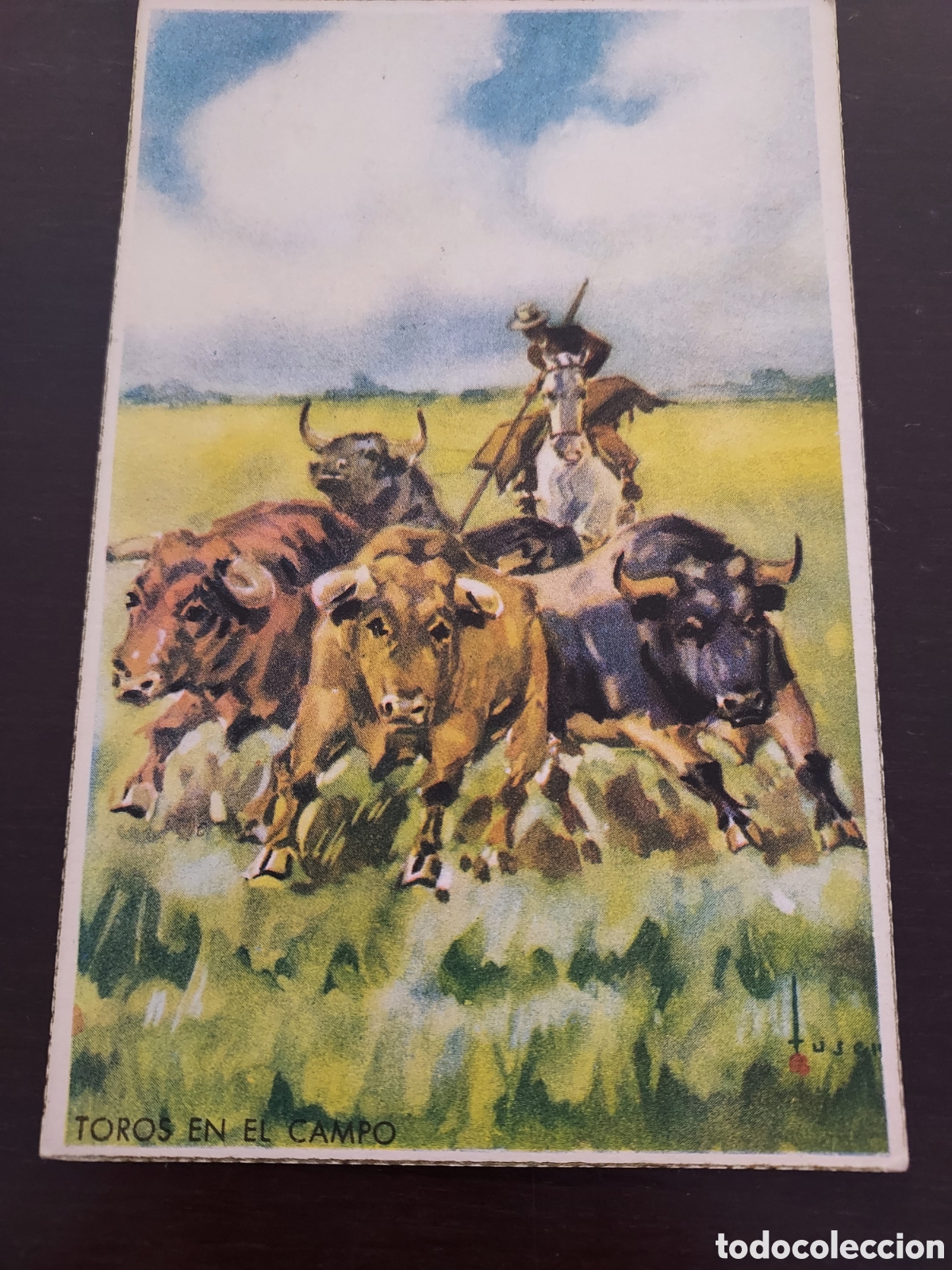 Postales: Postal Toros en el campo