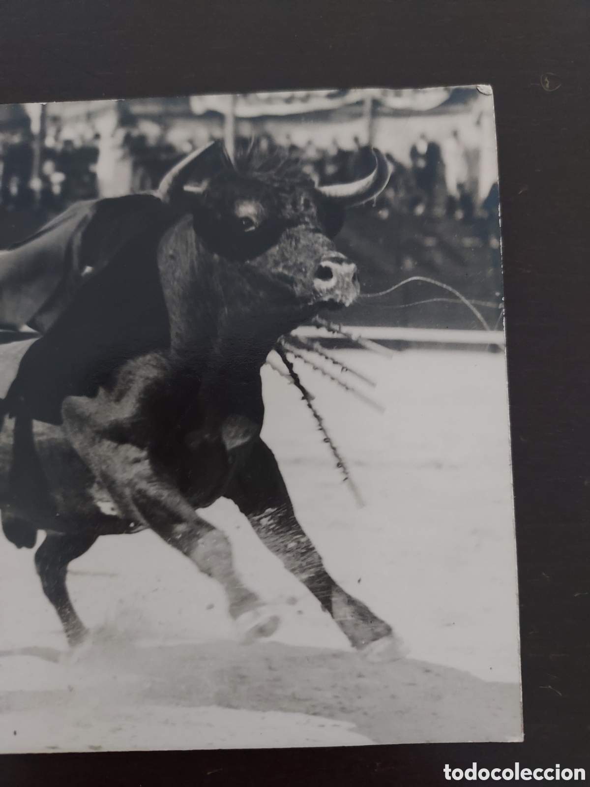 Postales: Postal tauromaquia en blanco y negro - Foto 4