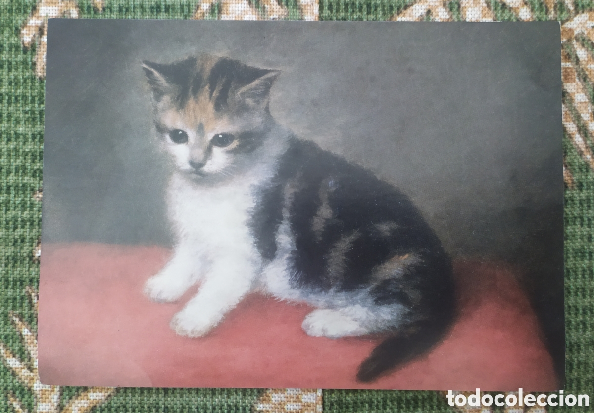 Postales: Postal - La gatita de la se&ntilde;orita Ann White de George Stubbs