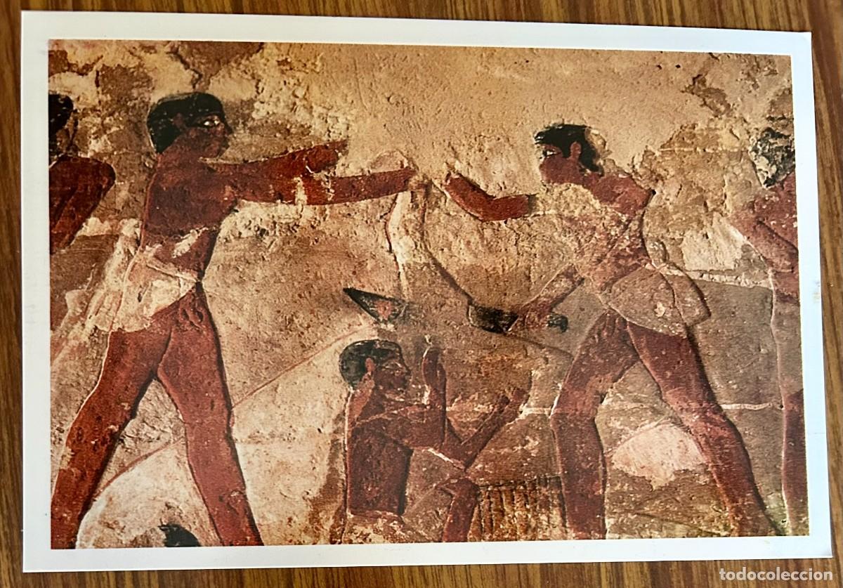 Postkarten: EGYPT POST CARD - SAQQARA - SAKKARA - BUTCHER TOMP - MENFIS - ANTIGUO EGIPTO - SIN CIRCULAR