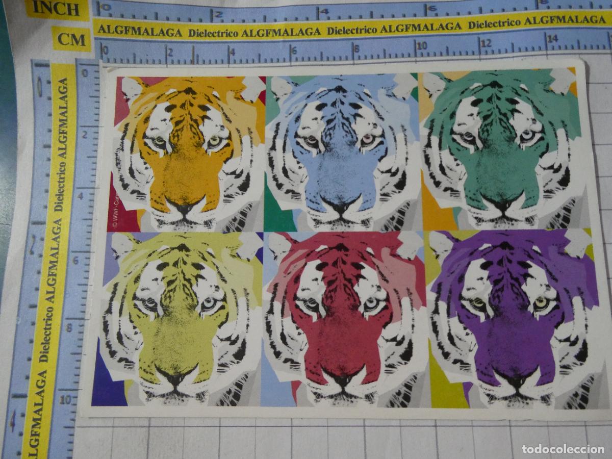 Postales: POSTAL DE ARTE PINTURA. WWF CONSERVACI&Oacute;N ECOLOG&Iacute;A NATURALEZA. TIGRES. ANDY WARHOL. 2459