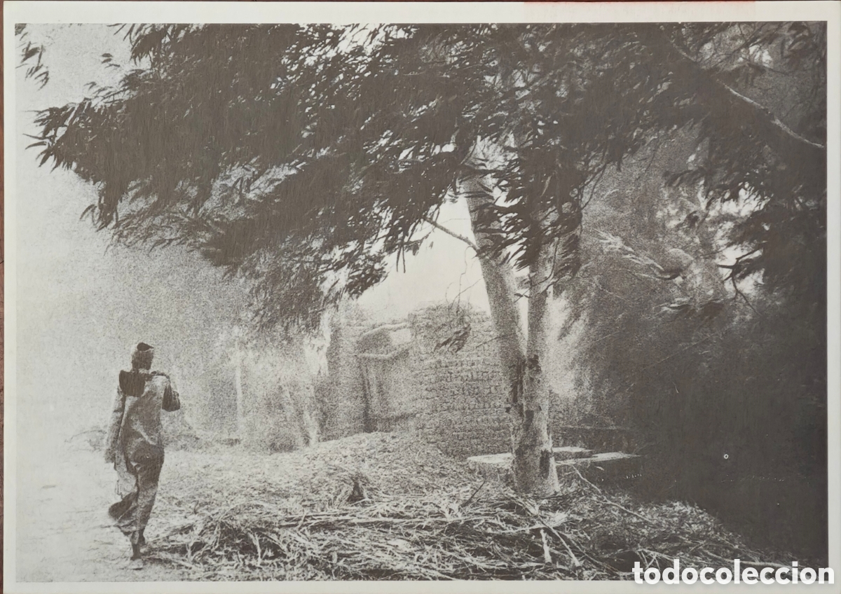 Postales: Postal Exposici&oacute;n &rdquo;Los Oasis de Egipto&rdquo; - Fotograf&iacute;as de Jordi Esteva - Almer&iacute;a, Octubre 1997
