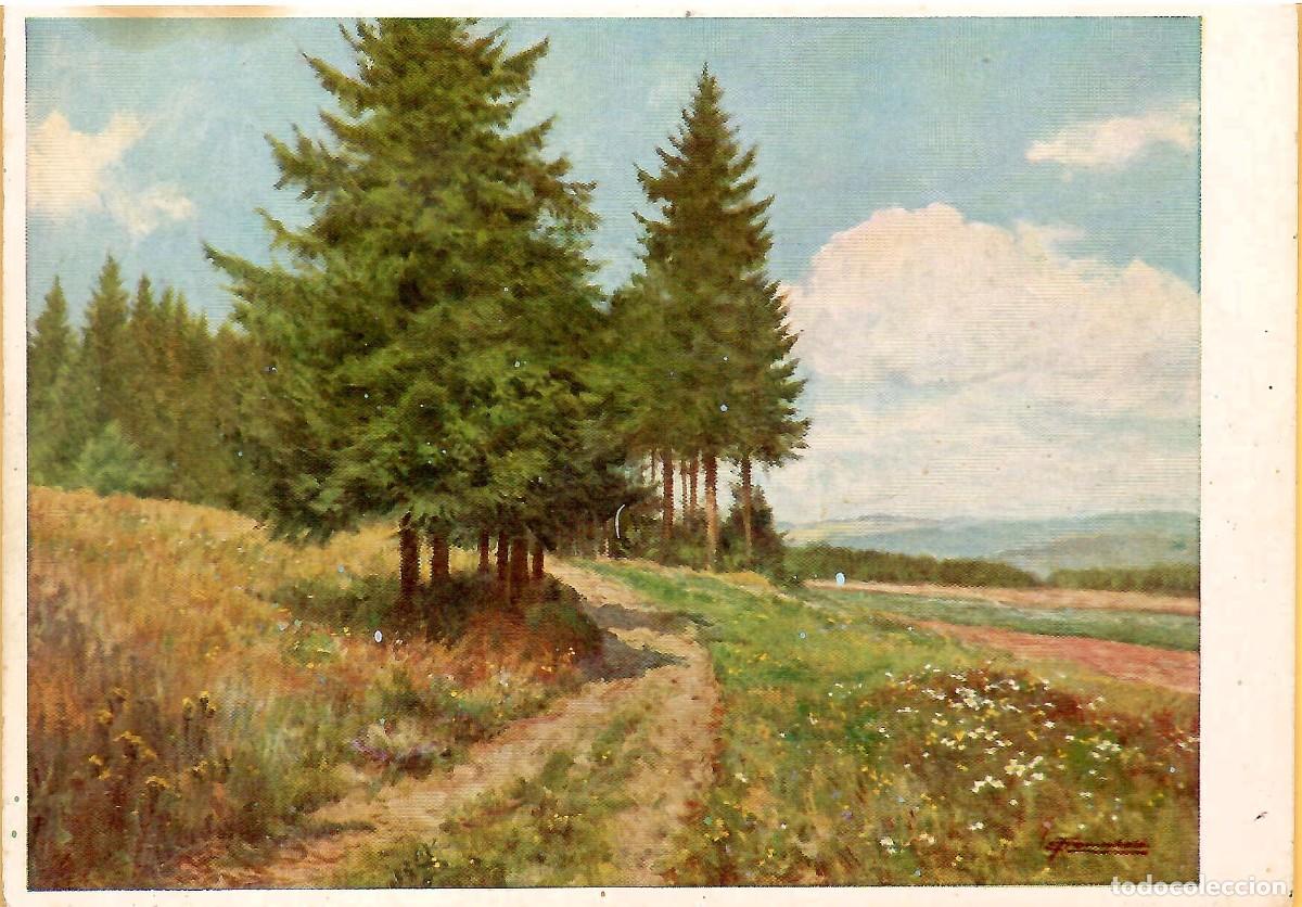 Postales: N&ordm; 333-ERNST DE MHOLD. Sol sobre el bosque y el campo. Sin circular. EDITORIAL WIECHMANN