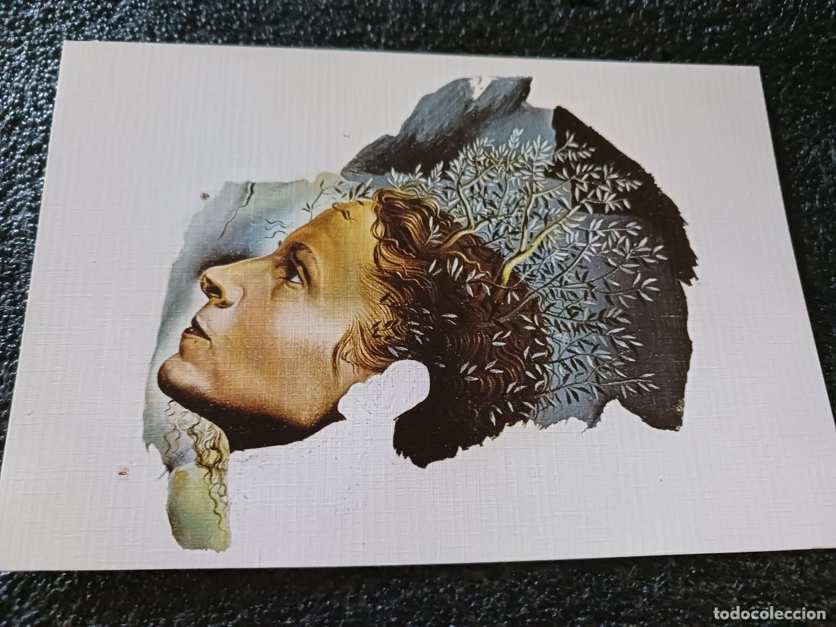 Postales: 24 Teatre-Museu Dal&iacute; - figueras, Gala, ed. teatro