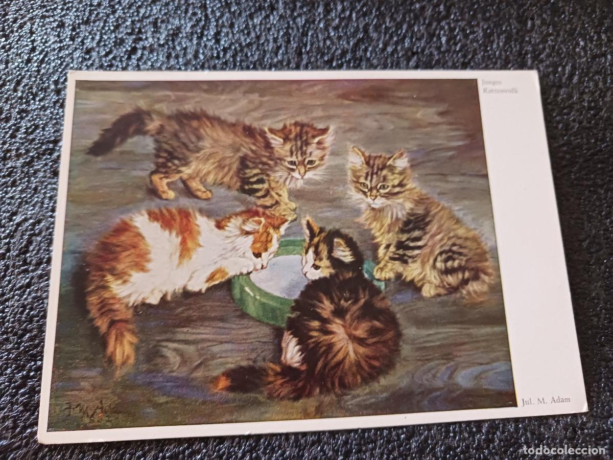 Postales: pueblo de gatitos jovenes, daniel merlin, escrita 1964