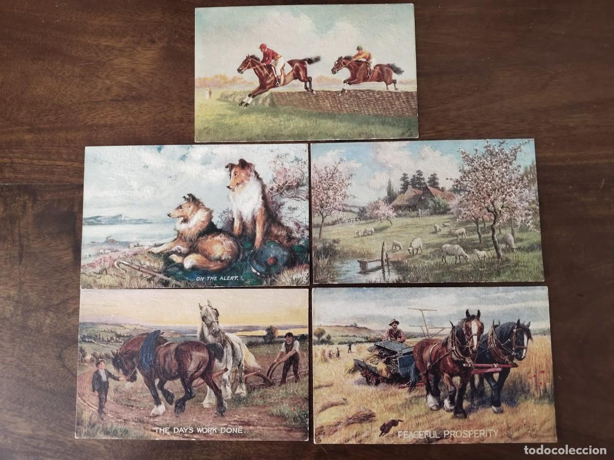 Postales: 5 TUCK'S POST CARD. Serie Oillette, miniaturas de &oacute;leos Agrocampestres.