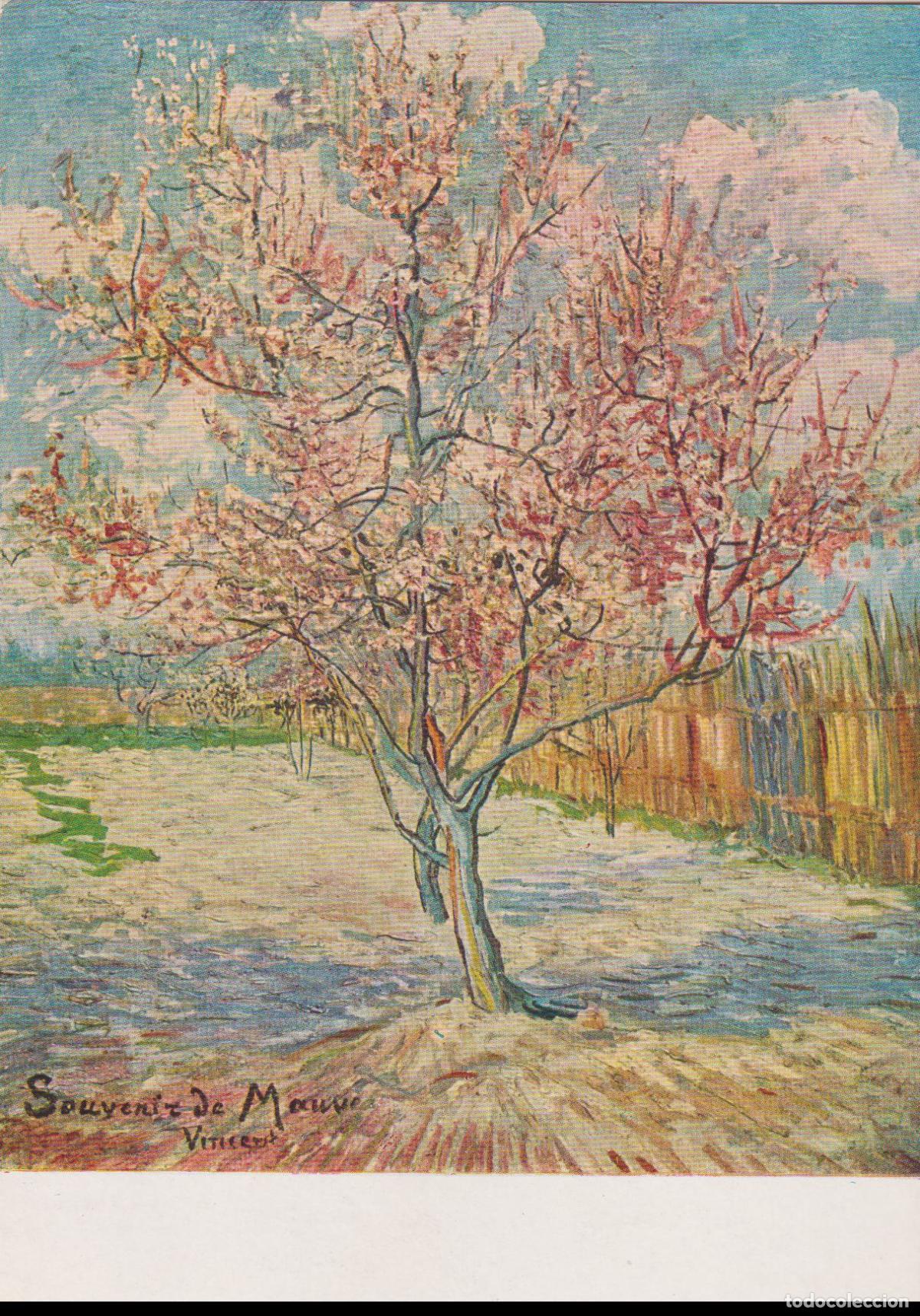 Postales: POSTAL DE LA OBRA DE VAN GOGH, ARBOL EN FLOR (1888) &ndash; LES EDITIONS NOMIS 6318 &ndash; S/C