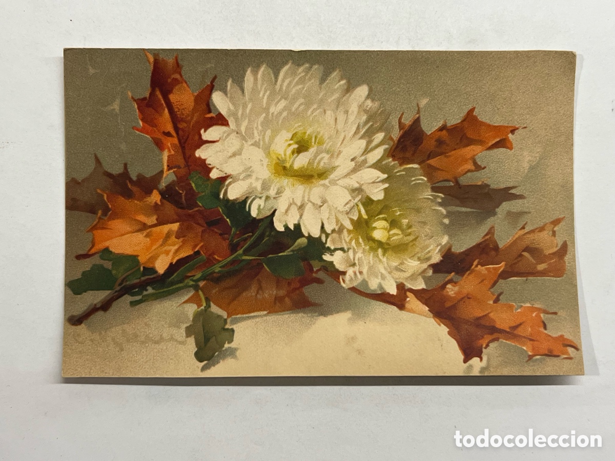 Postales: CASA VIGUER.. Comercios hist&oacute;ricos de Valencia. FLORES. Luis Viguer, Correjer&iacute;a, 24-VALENCIA