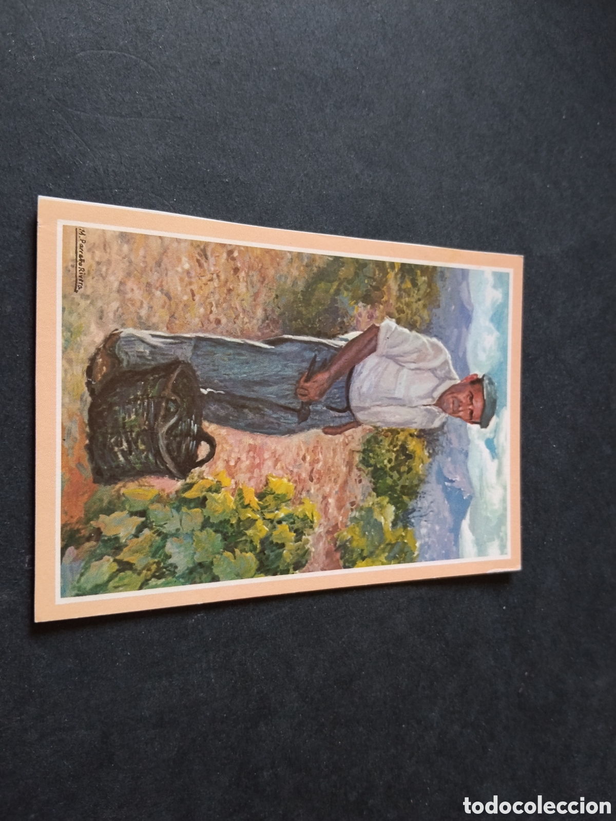 Postales: Postal dibujo vi&ntilde;edo por M.Parre&ntilde;o Rivera