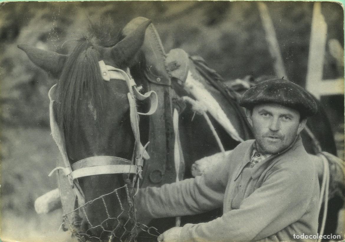 Postales: COLLECTION VALL&Eacute;ES PYR&Eacute;N&Eacute;ENNES. Images d'un temps qui passe. Deux compagnons. Clich&eacute; Elizabeth Arriu