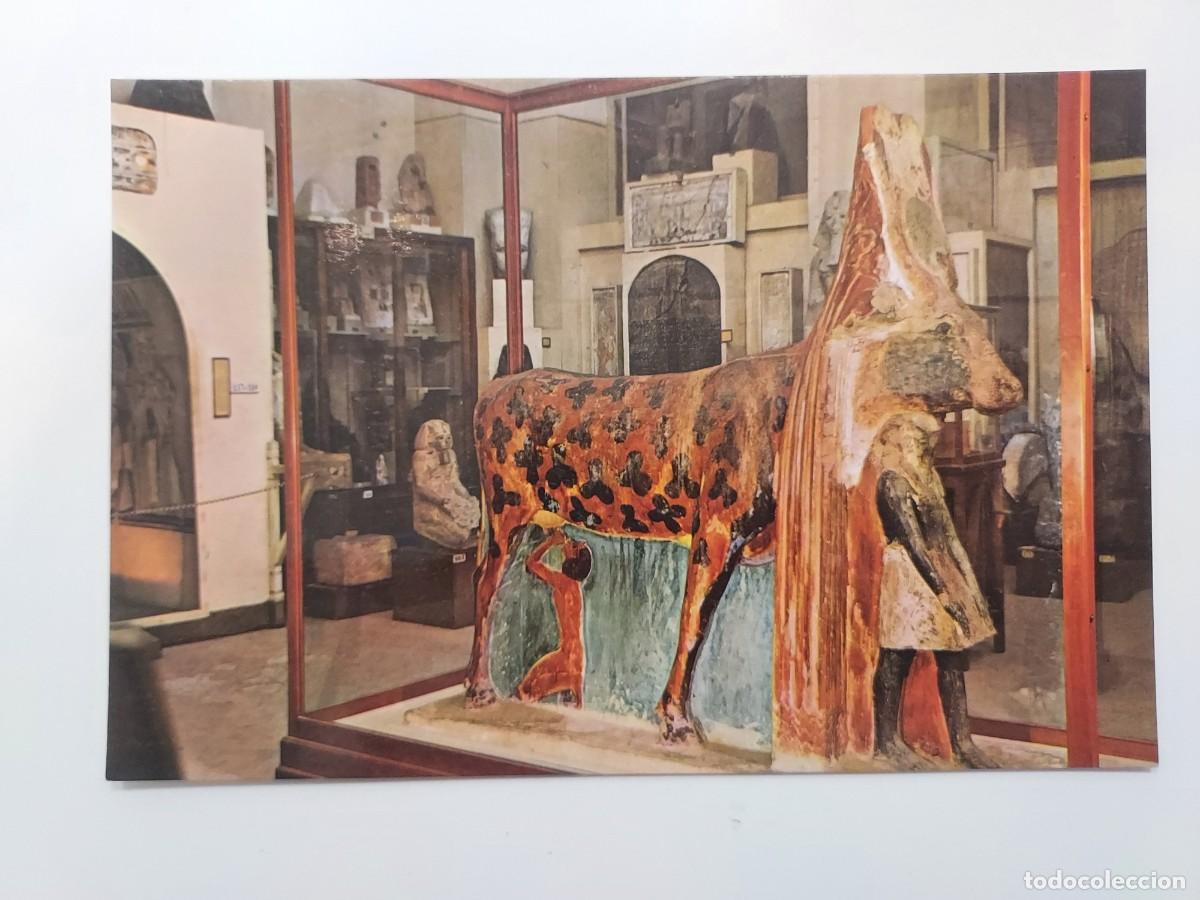 Postales: POSTAL EGIPTO MUSEO EGIPCIO CAIRO. EGYPTIAN MUSEUM. Lehnert & Landrock. S/C. 270