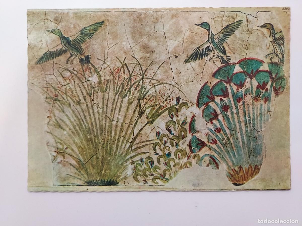 Postales: POSTAL EGIPTO MUSEO EGIPCIO CAIRO. EGYPTIAN MUSEUM. Lehnert & Landrock. S/C. 317