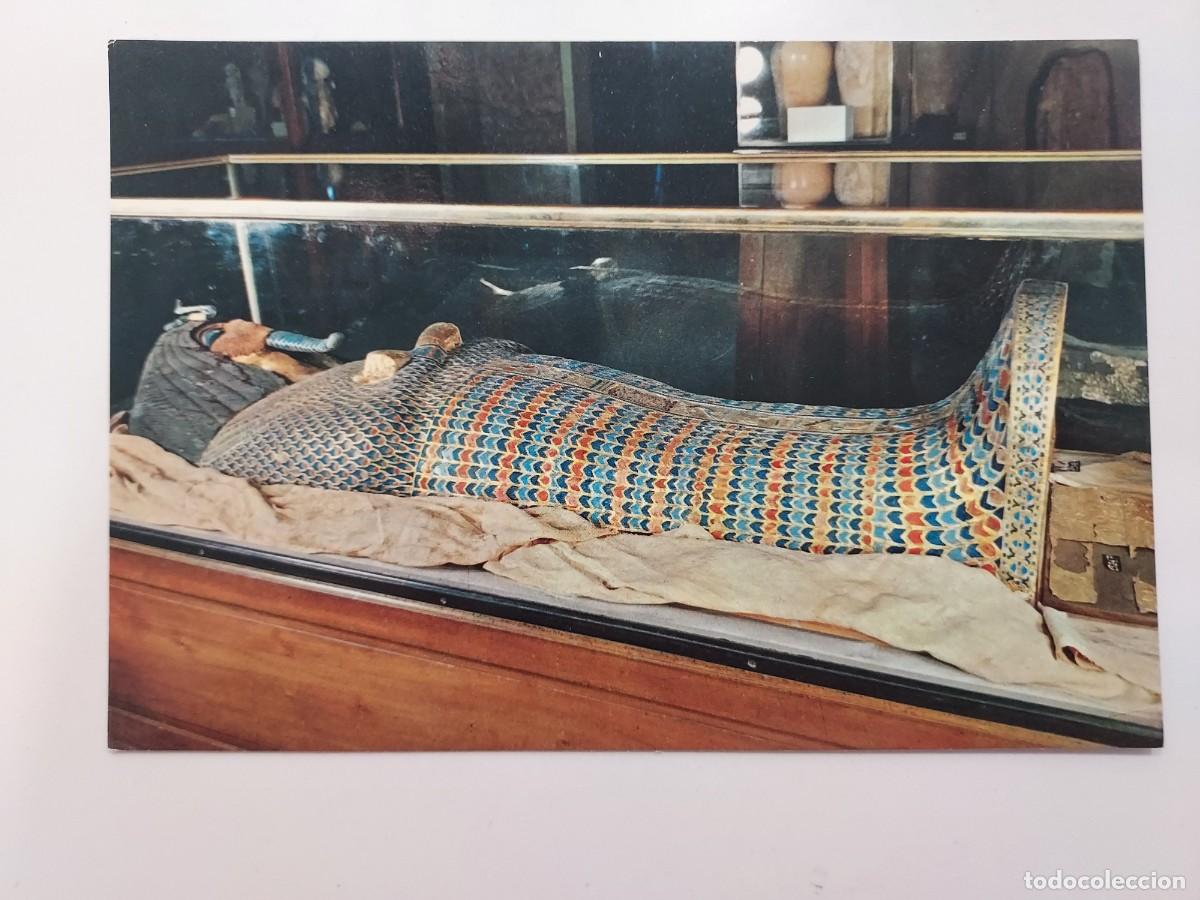 Postales: POSTAL EGIPTO MUSEO EGIPCIO CAIRO. EGYPTIAN MUSEUM. Lehnert & Landrock. S/C. 717