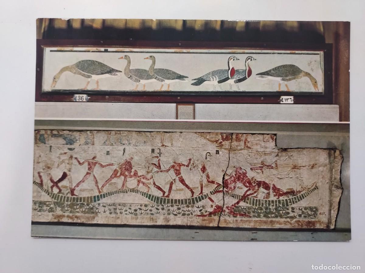 Postales: POSTAL EGIPTO MUSEO EGIPCIO CAIRO. EGYPTIAN MUSEUM. Lehnert & Landrock. S/C. 749
