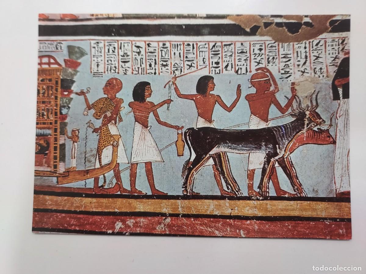 Postales: POSTAL EGIPTO (LUXOR). VALLE DE LOS REYES MURAL CEREMONIA RELIGIOSA. S/C