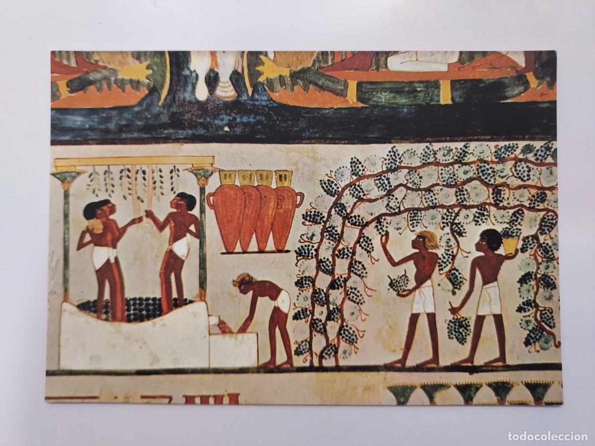 Postales: POSTAL EGIPTO TUMBA NAKHT. VENDIMIA. S./C. 3
