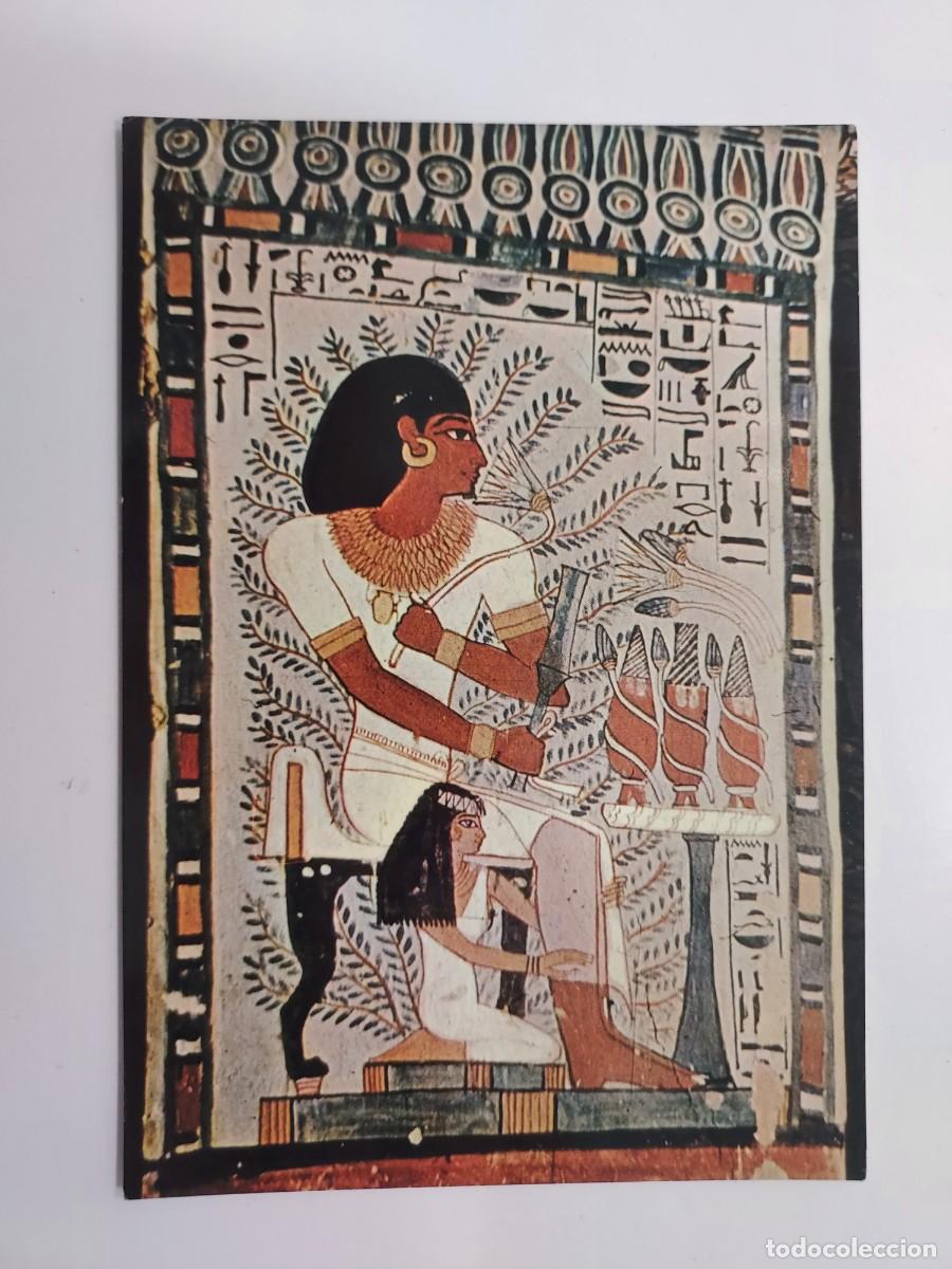 Postcards: POSTAL EGIPTO TUMBA SENNUFER. S/C. 2