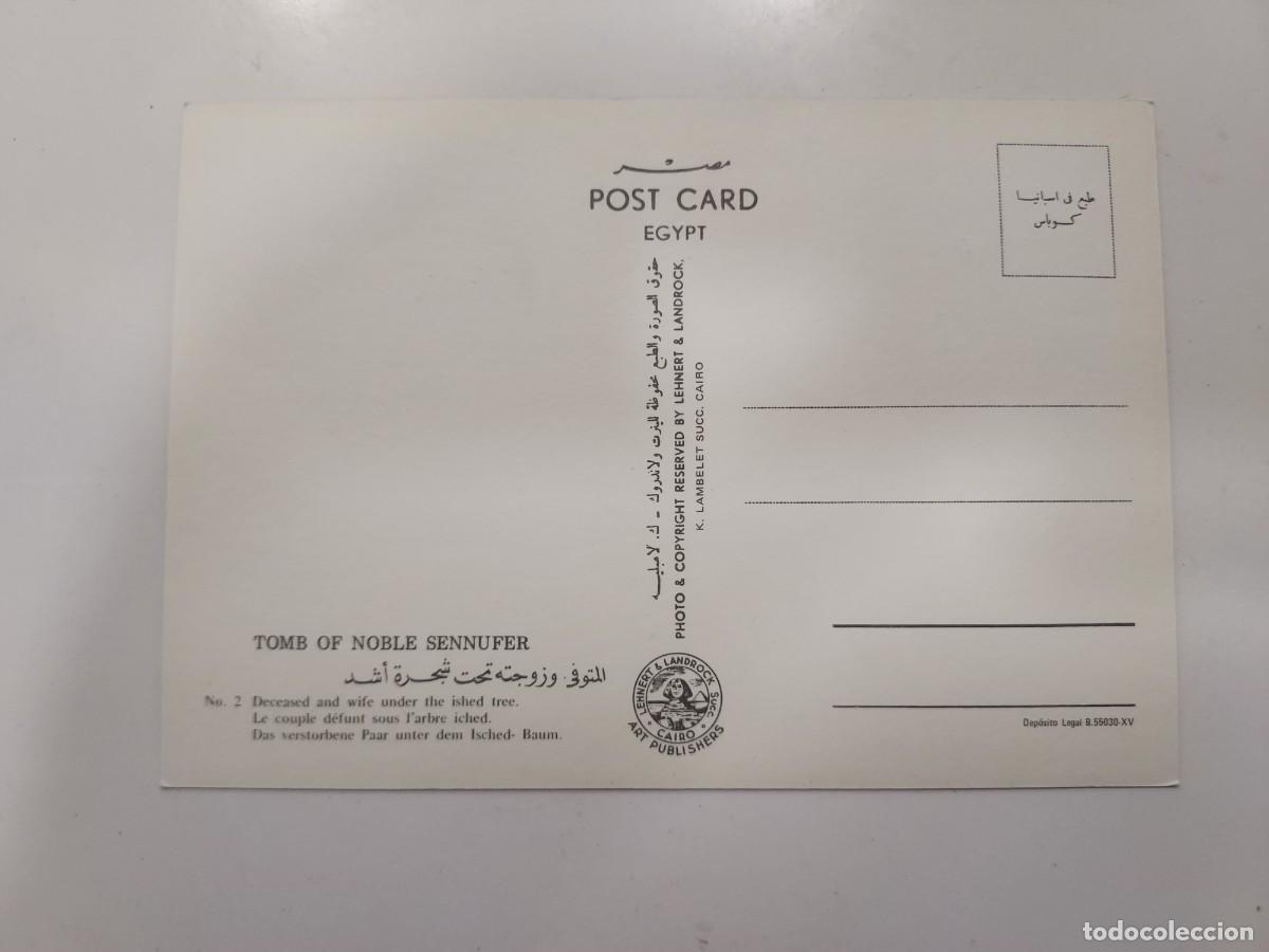Postales: POSTAL EGIPTO TUMBA SENNUFER. S/C. 2 - Foto 2