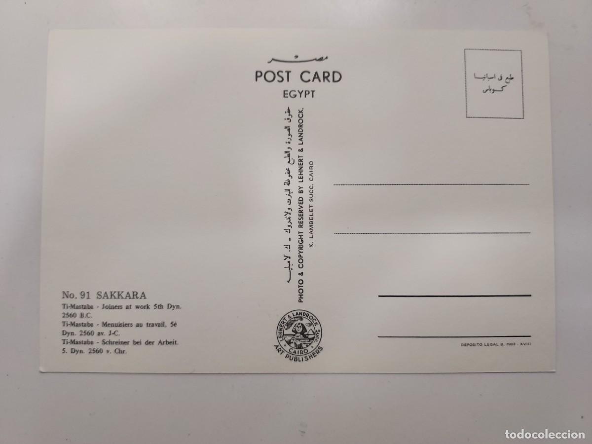 Postales: POSTAL EGIPTO SAKKARA. S/C. 91 - Foto 2