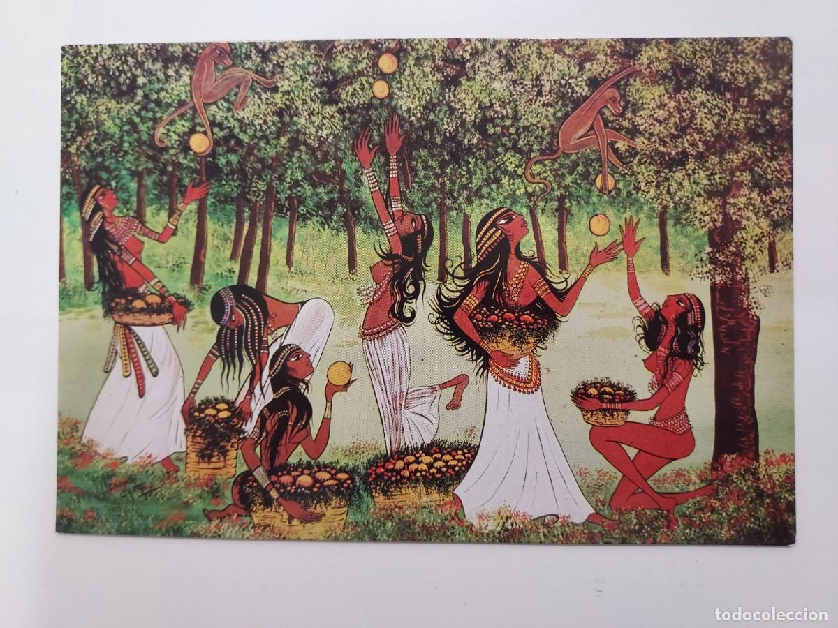 Postales: POSTAL EGIPTO EL CAIRO. Harvesting Fruit with the Help of Baboons de Amal Choucri Catta. S/C.