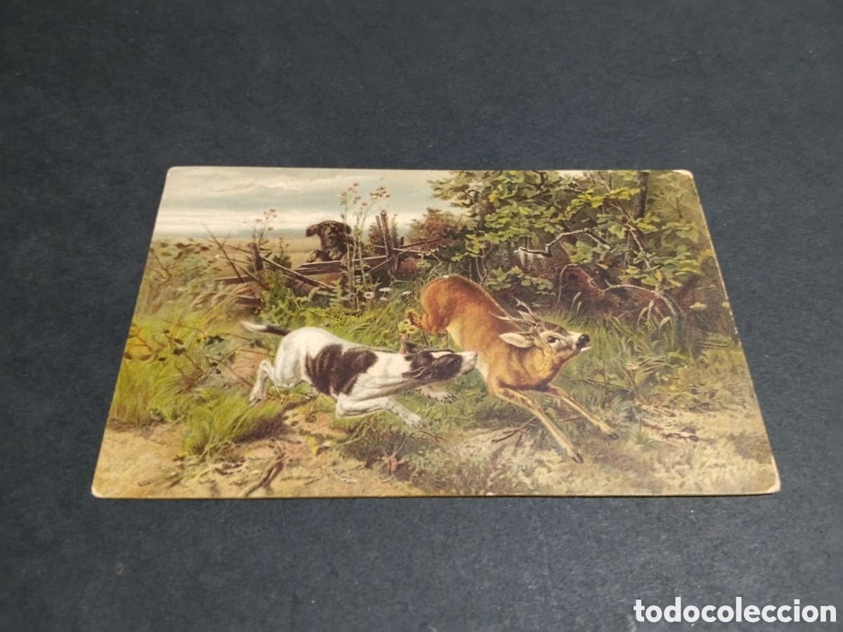 Postales: Postal arte dibujo Guido Maffei