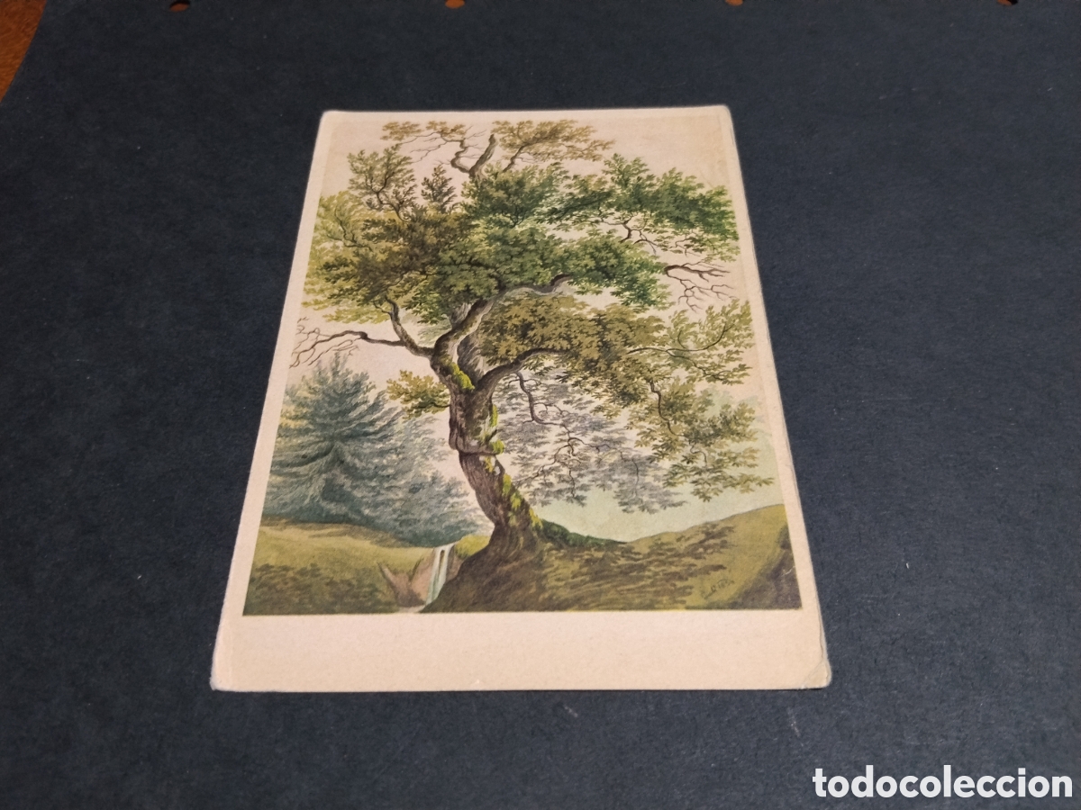 Postales: Postal arte dibujo &aacute;rbol