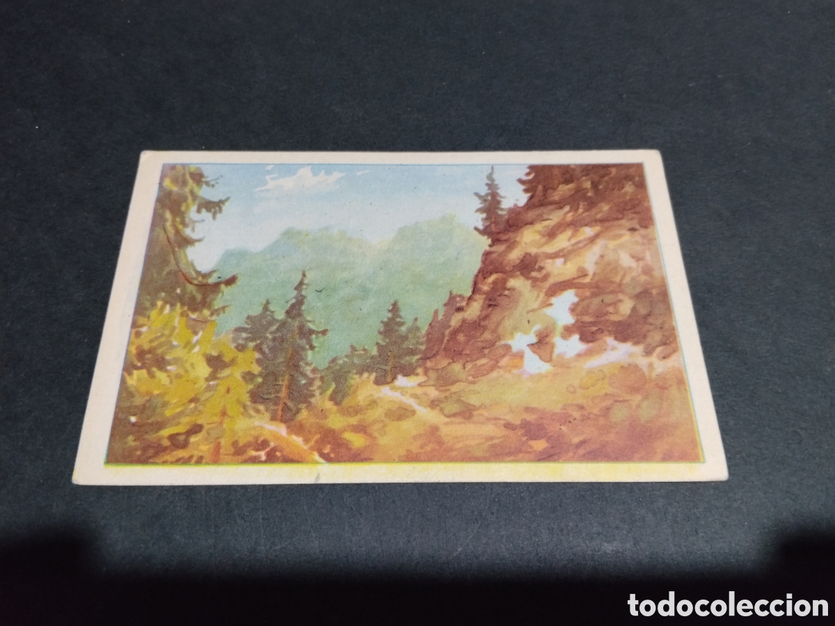 Postales: P&oacute;stal arte dibujo paisaje