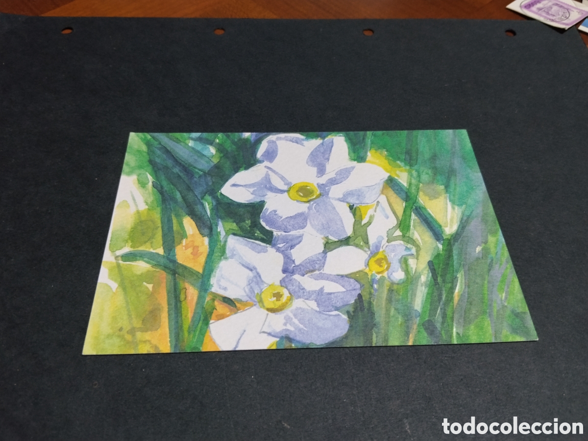 Postales: Postal arte programa activas
