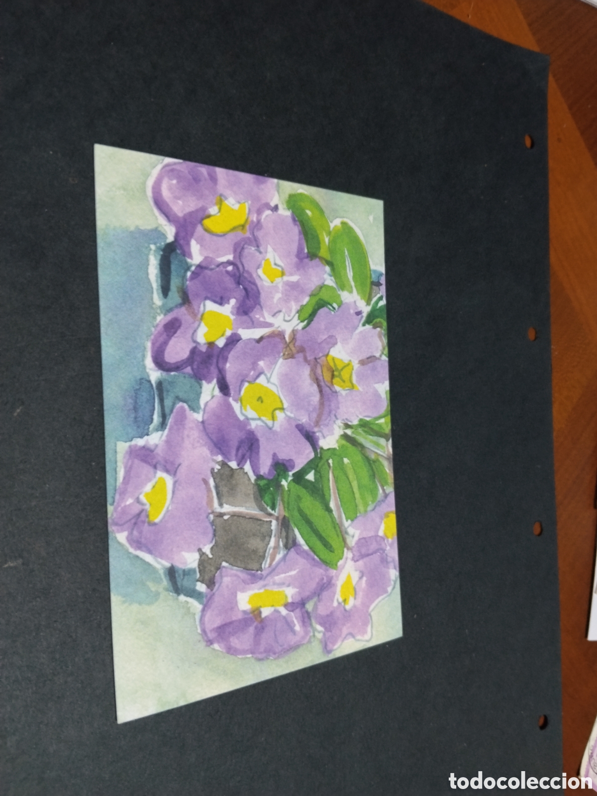 Postales: Postal arte programa activas