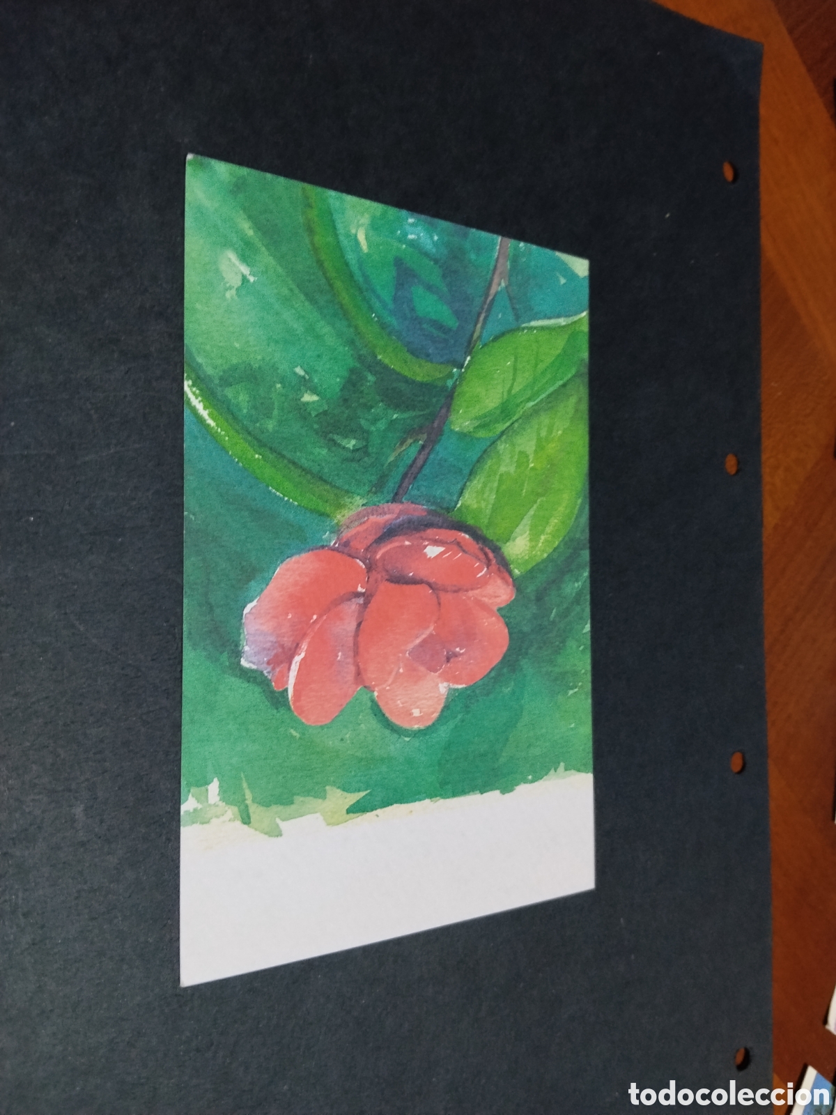 Postales: Postal arte programa activas