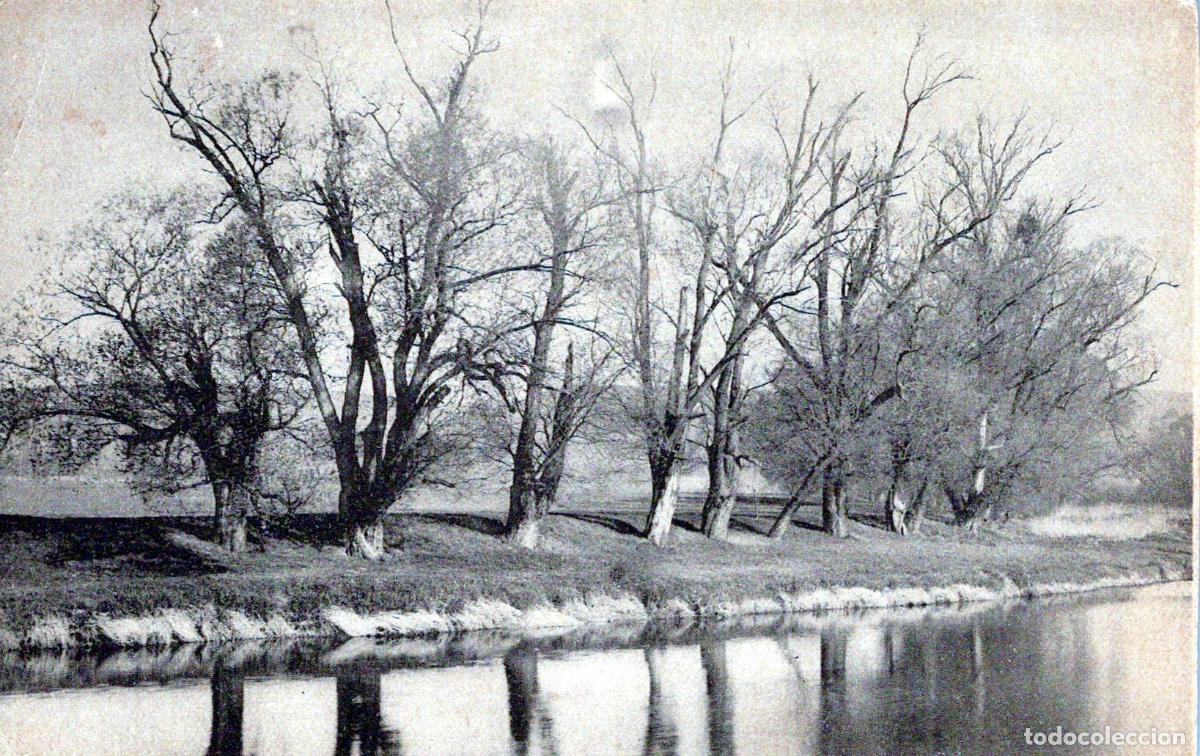 Postales: River Landscape Bare Trees Reflections Unposted *YAA297 - Foto 3