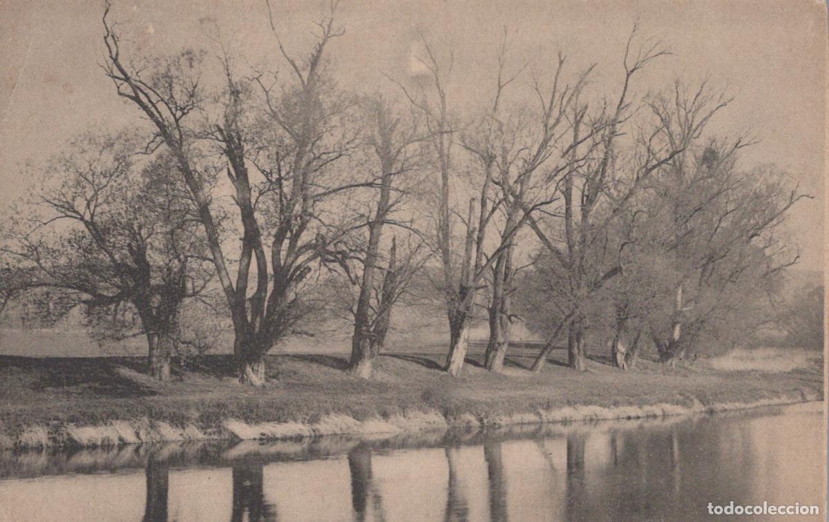 Postales: River Landscape Bare Trees Reflections Unposted *YAA297