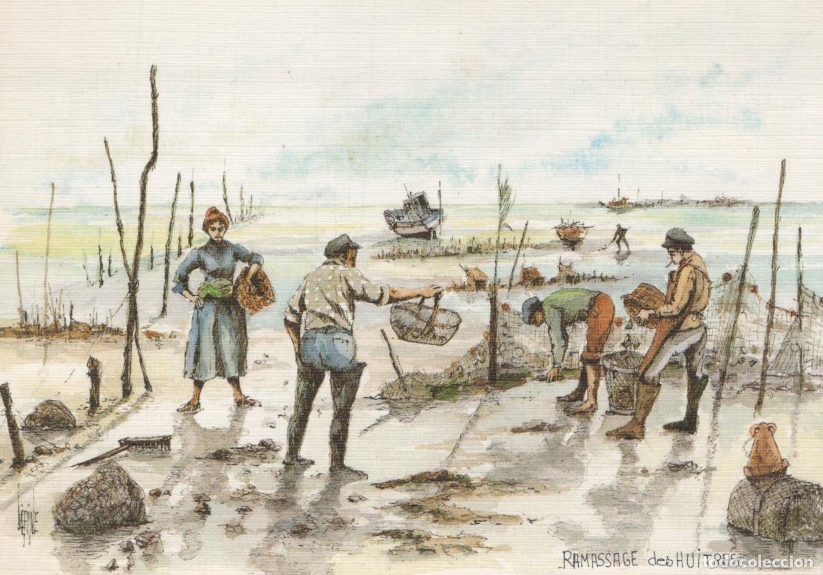 Postales: France Cote Aquitaine Ramassage des Huitres Aquarelle *YAD711