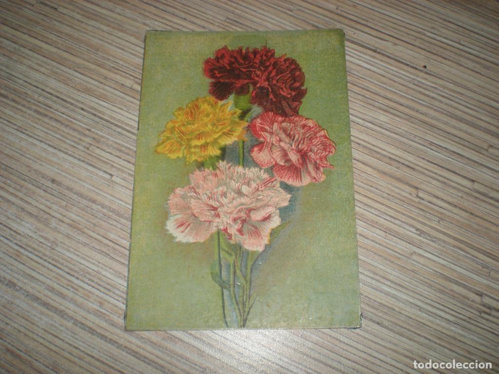 Postales: Postal de la URSS. Editorial Sociedad de Colonos Jud&iacute;os, a&ntilde;os 1936. Un ramo de claveles. judaico.