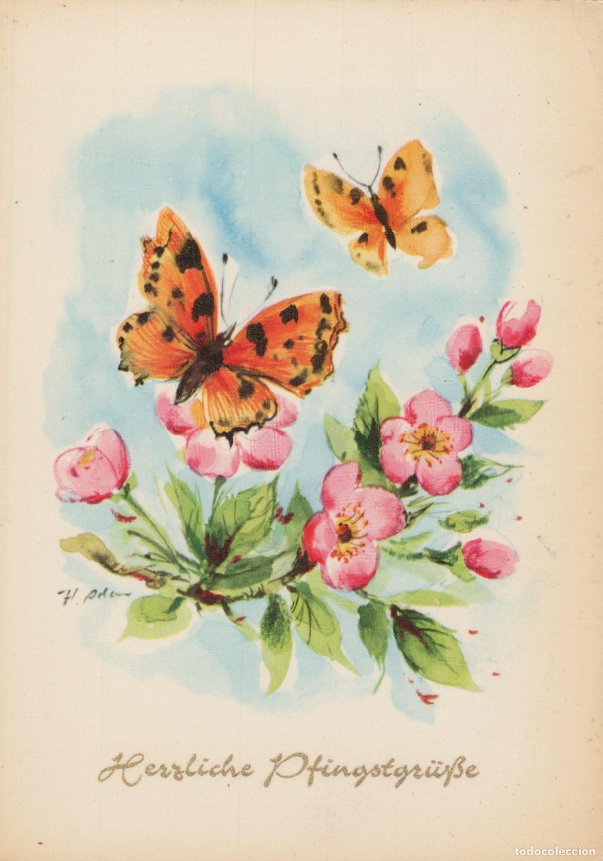 Postales: Butterflies Cherry Blossoms Pentecost Greetings Art Unposted *YAS508