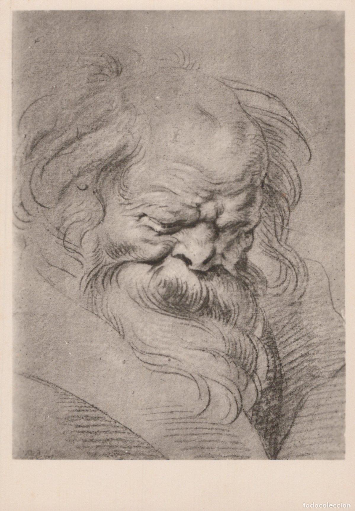 Postales: Peter Paul Rubens Bacchus Head Old Master Art Real Photo Unposted *YAT916