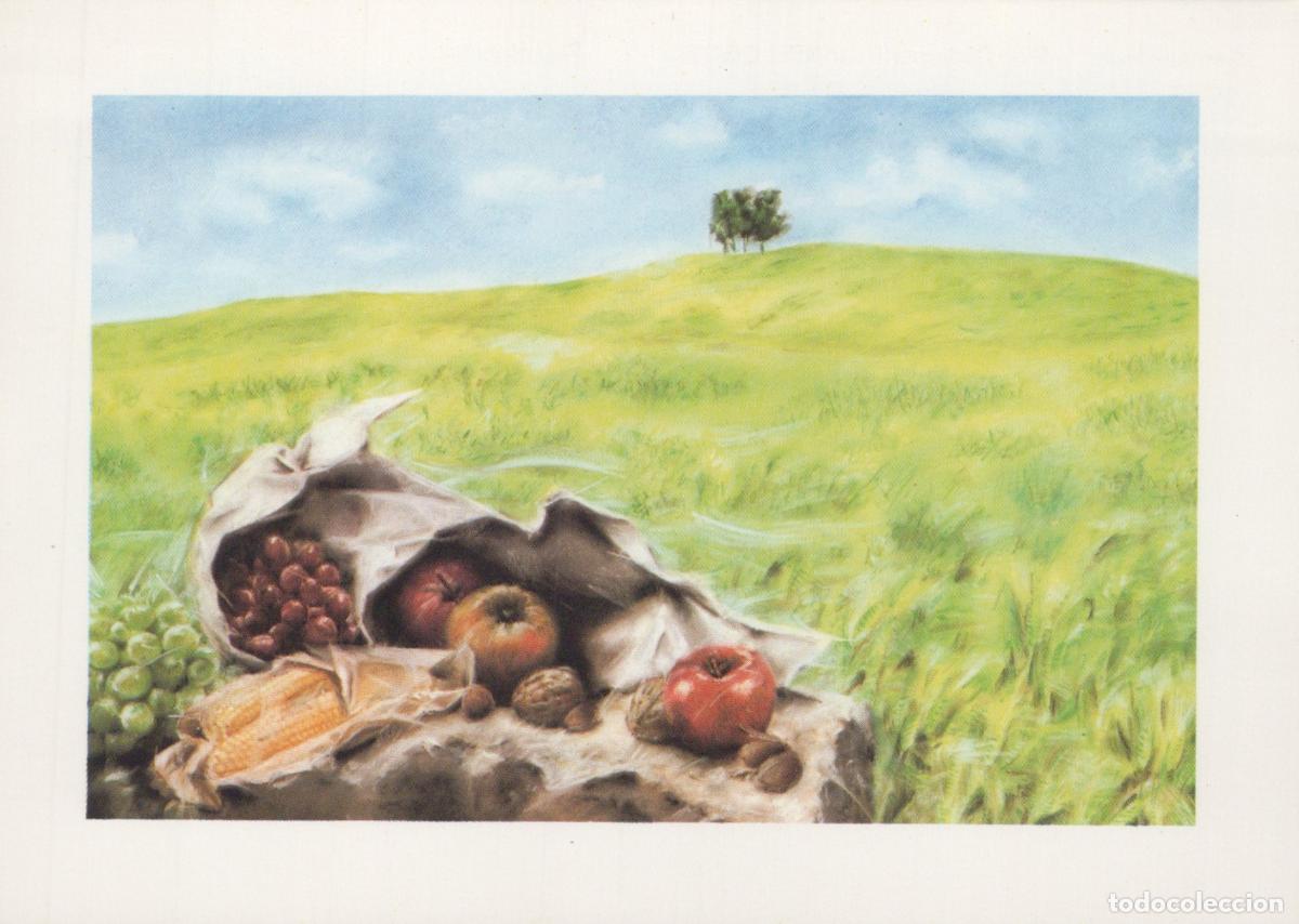 Postales: Still Life With Apples Grapes Corn Nuts On Rock in Grassy Field Unposted *YAU987