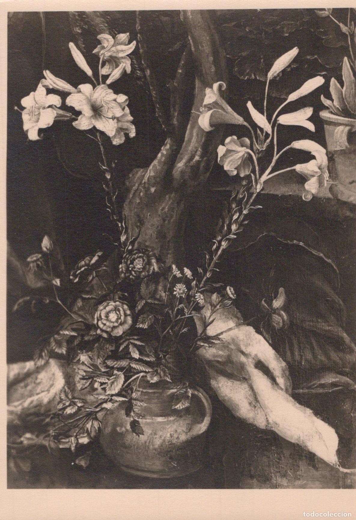 Postales: Still Life With Flowers and Tree Trunk Black and White Art Unposted *YAT955
