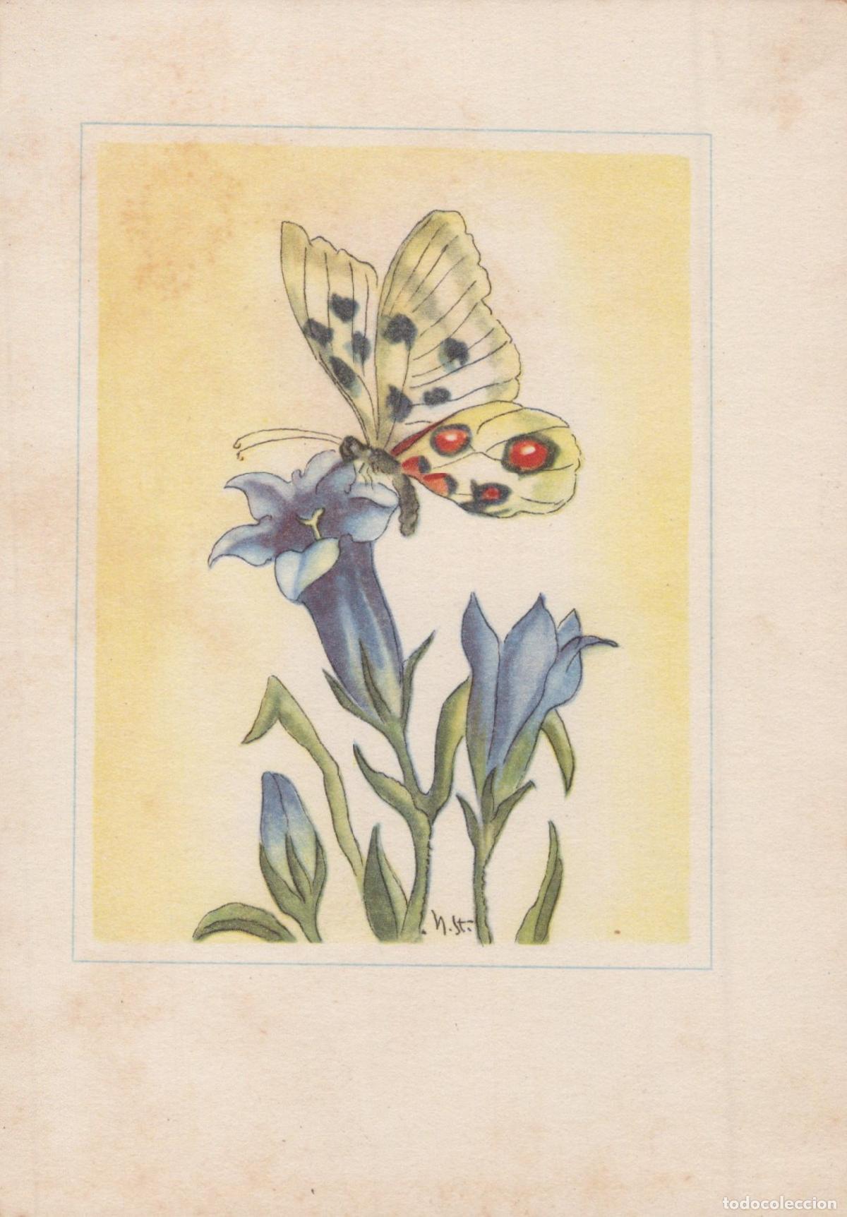 Postales: Butterfly On Blue Flower Art Nouveau Illustration Nora Stedmann Unposted *YAY043