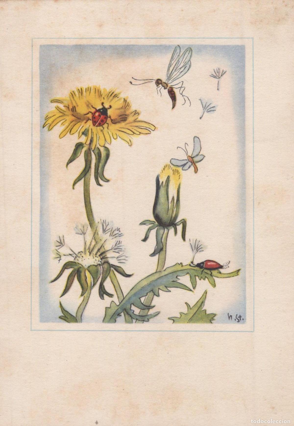 Postales: Dandelion Flowers With Ladybugs Bee and Butterfly Nature Art Unposted *YAY042