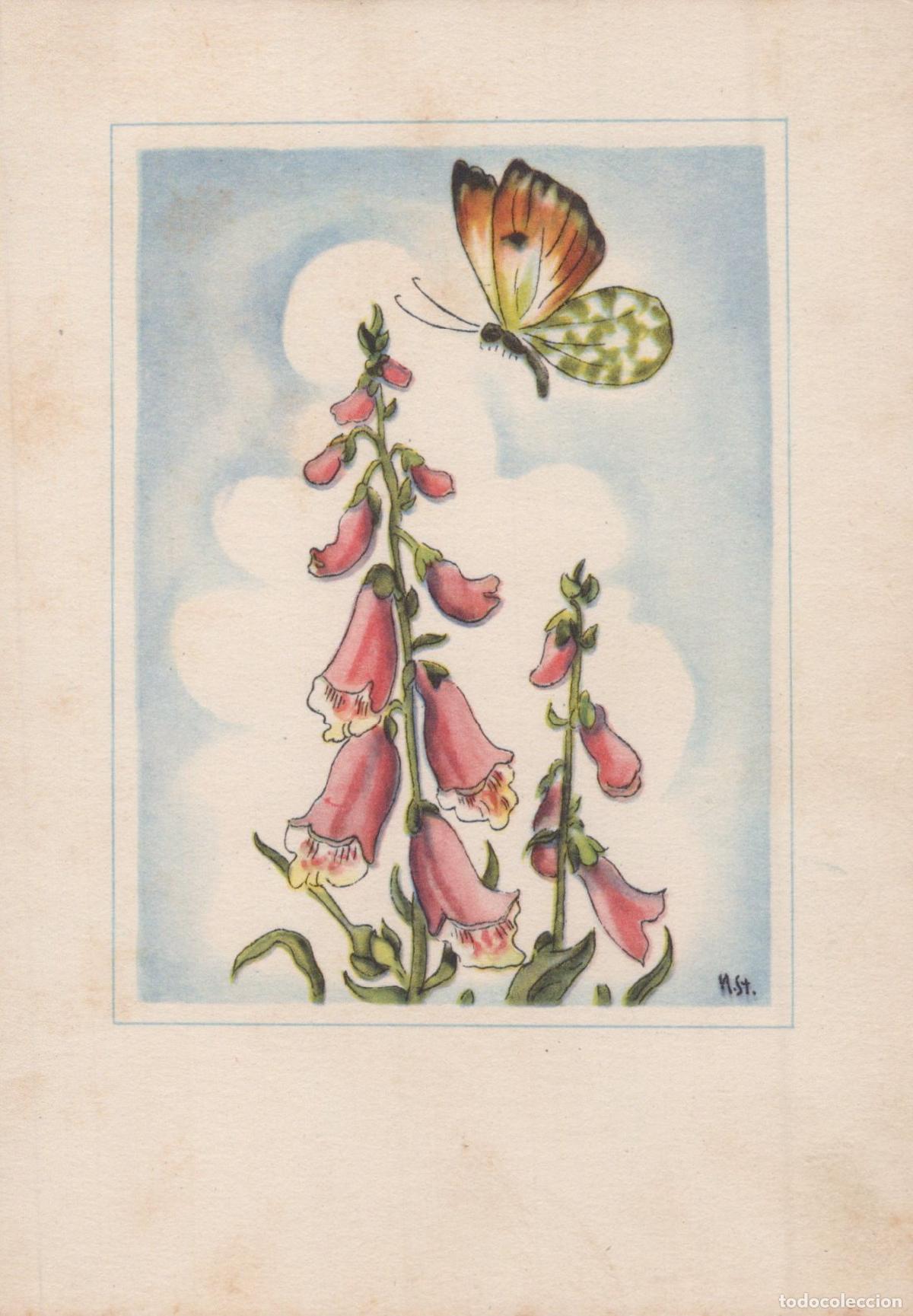 Postales: Butterfly and Foxglove Flowers Nature Art Unposted *YAY044