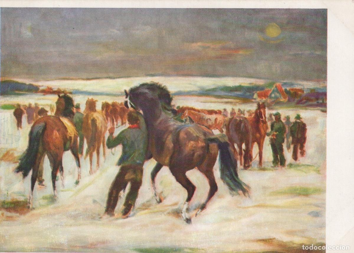 Cartoline: Horse Show in Winter By Heinz Unposted *YBA368