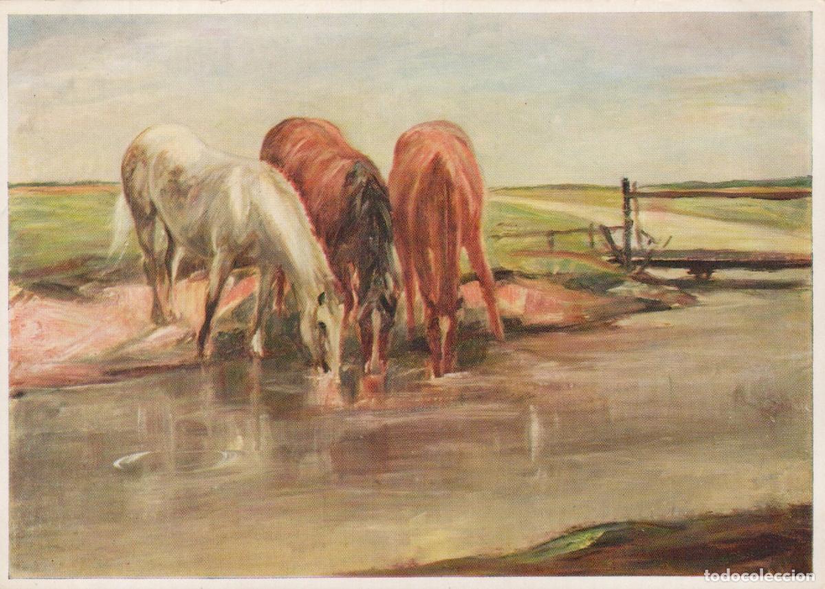 Postais: Three Horses Drinking From A Stream in Unposted *YBA370