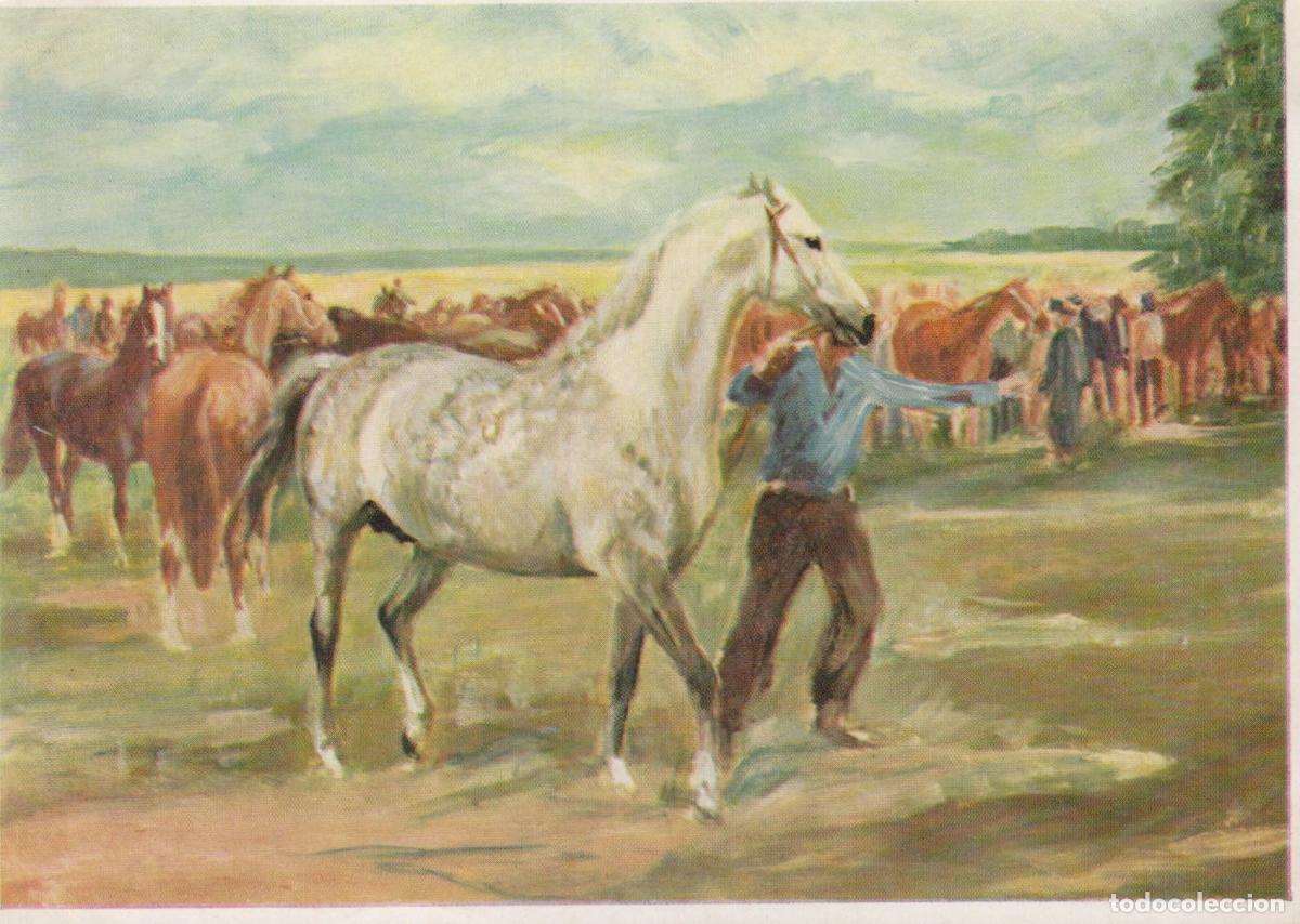 Cartoline: Horse Market in Lower Saxony With A Man Unposted *YBA369