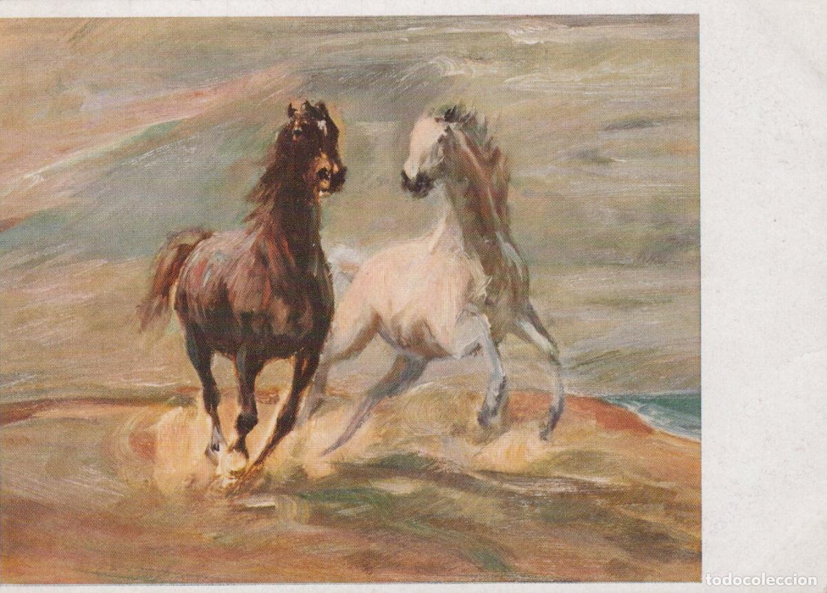 Cartoline: Two Wild Horses Playing On the Sea Shore Art Unposted *YBA371