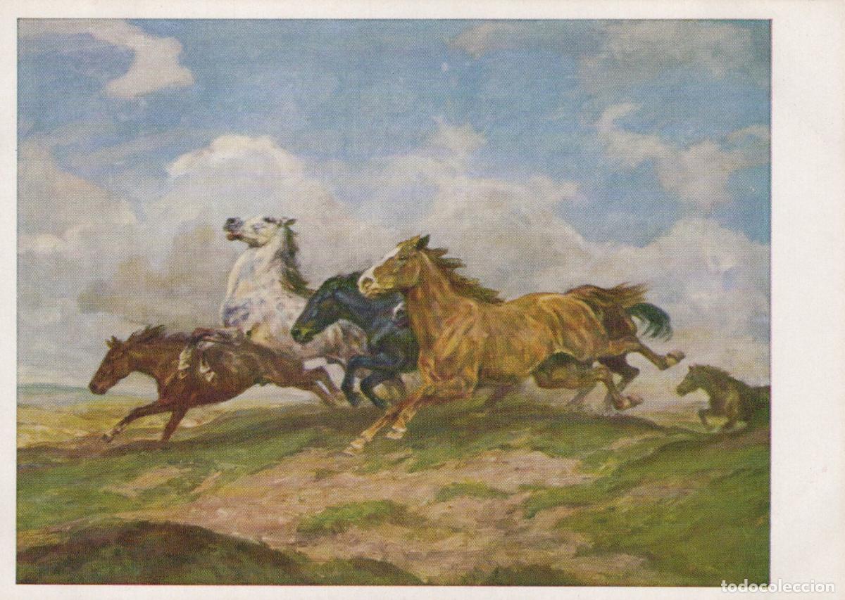 Cartoline: Landscape Wild Horses Running On Grassy Unposted *YBA373