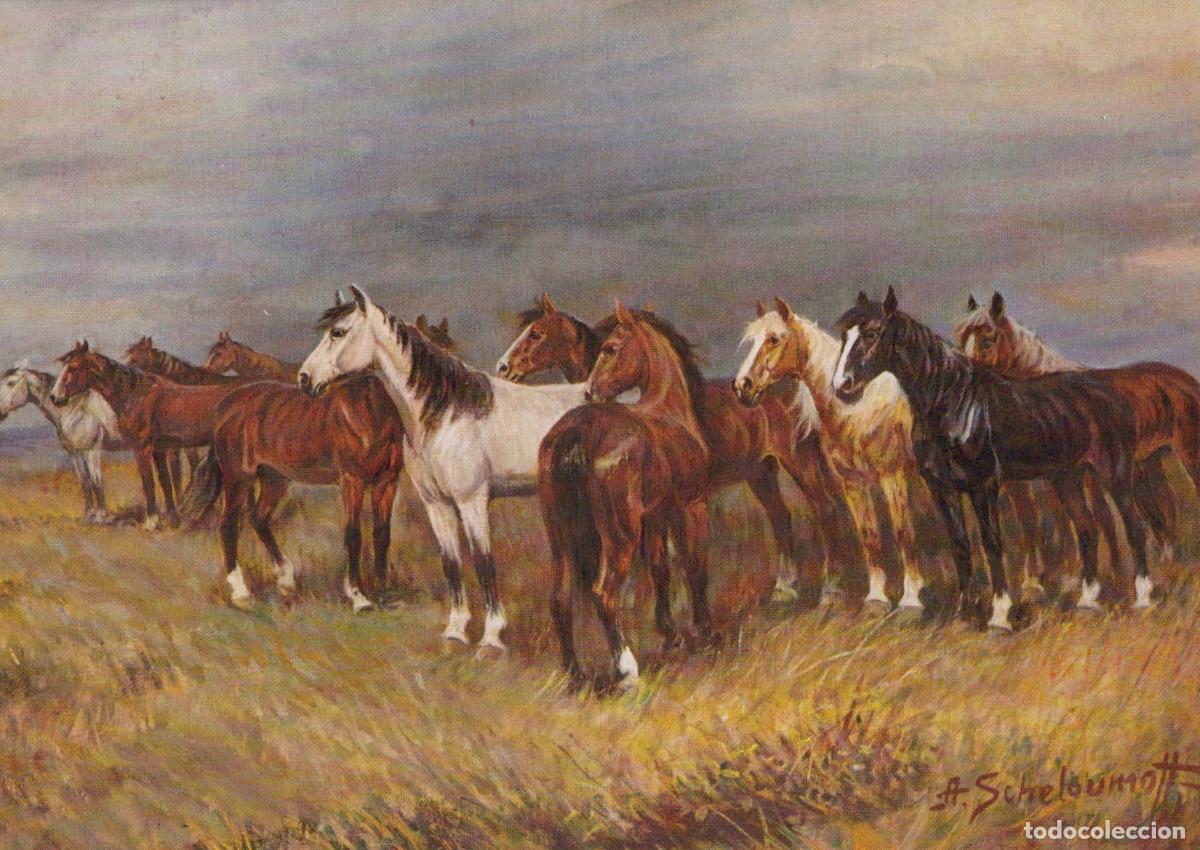 Cartoline: Horses in the Steppe By A Scheloumoff Unposted *YBA379