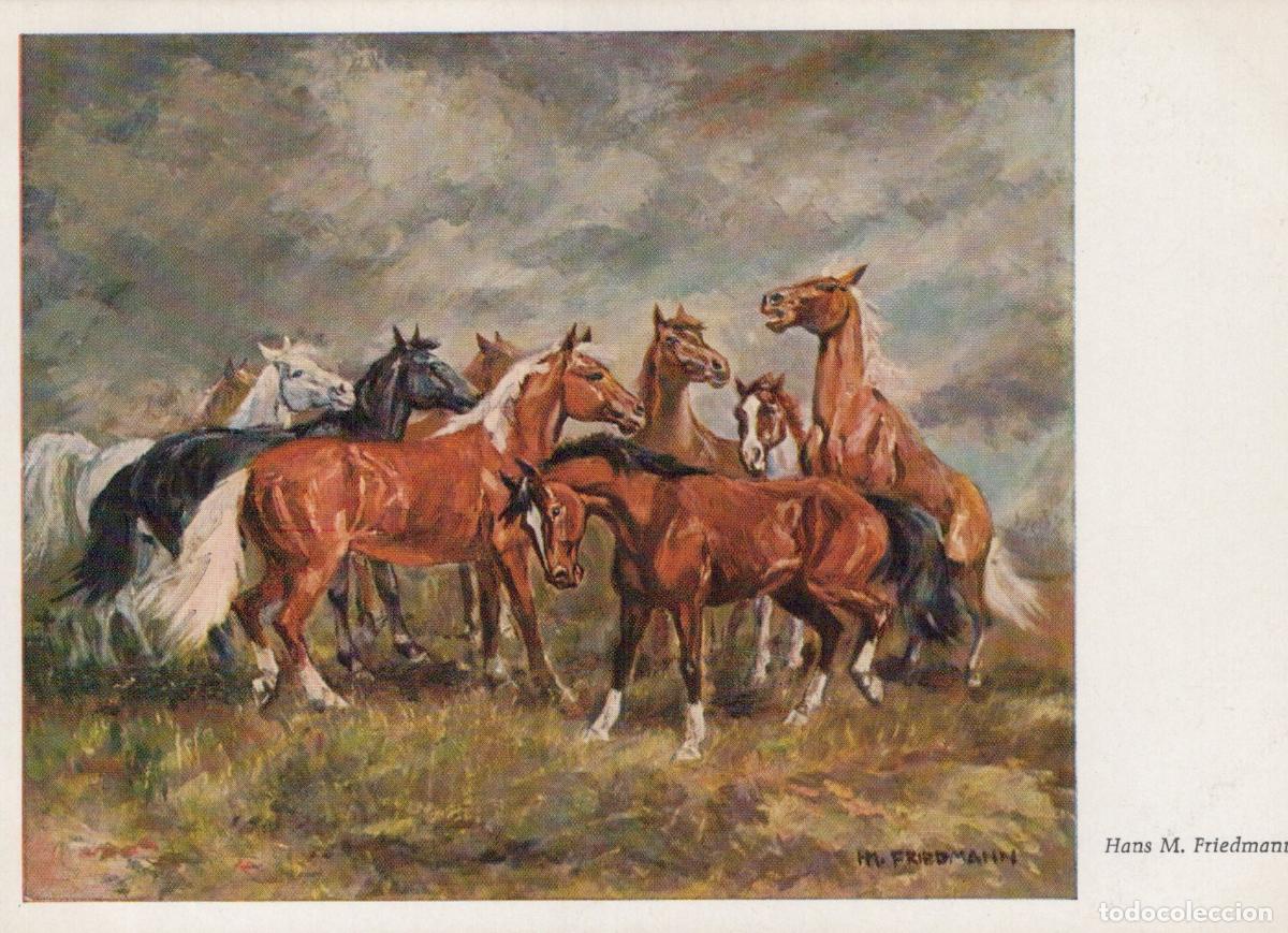 Cartes Postales: Horses Before the Storm By Hans M Friedmann Unposted *YBA376