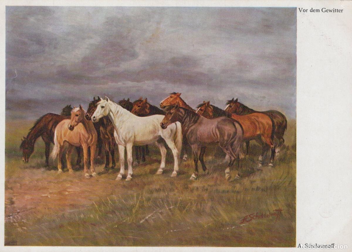 Cartes Postales: Horses Before the Storm By A Scheloumoff Art Unposted *YBA378